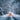 A car with orange lights on a wintry road surrounded by snow covered trees and ground
